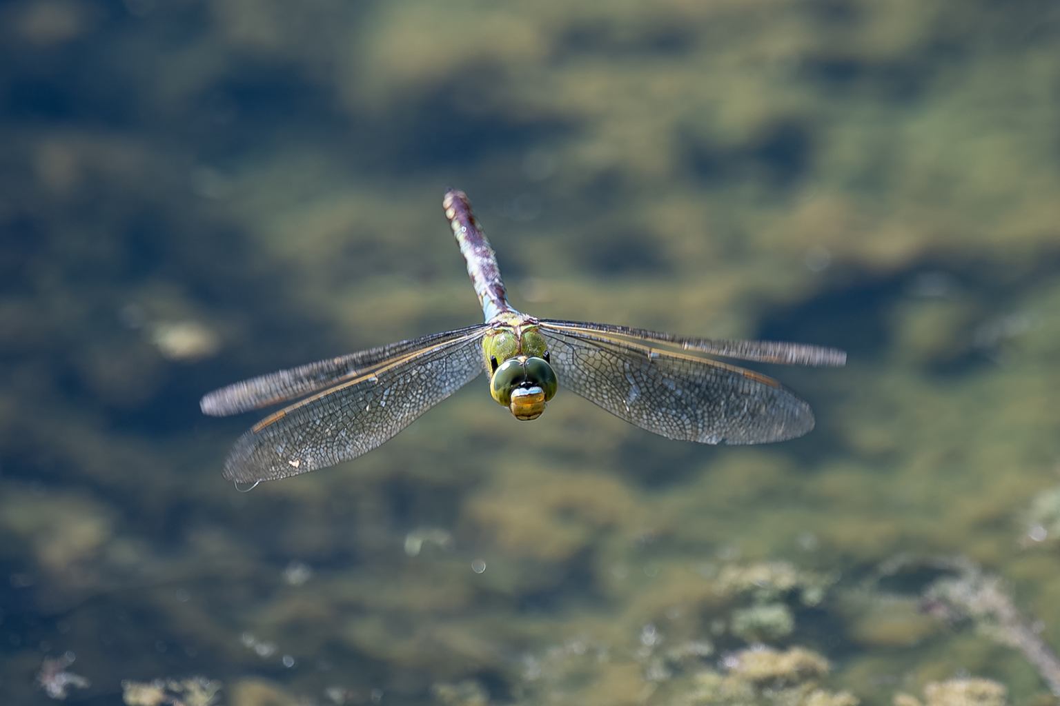 Slide Image